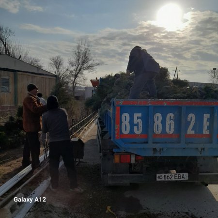 SHAHAR IQLIMIGA MOS "SHARQ TUYASI" OLIB KELINDI