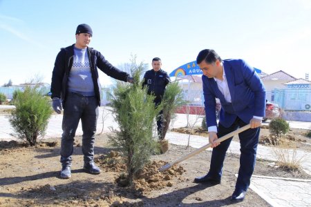 "YASHIL MAKON" UMUMMILLIY LOYIHASI DOIRASIDA KO'CHAT EKISH ISHLARI DAVOM ETMOQDA