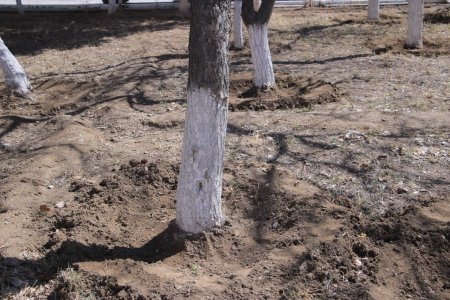 ZARAFSHON SHAHAR JOME MASJIDIDA HASHAR TASHKIL ETILDI